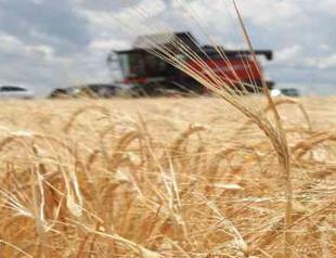 Ukraine grain exports exceed 1 million tons: Türkiye