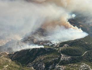 Forest fire in resort town Datça under control