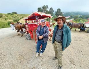 Phaeton prohibited in Abant National Park