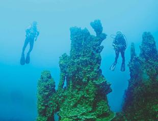 Seven foreign journalists dive into Lake Van