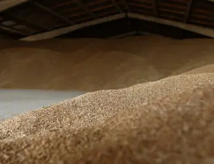 Russian strikes on Odessa port cast doubt over grain deal