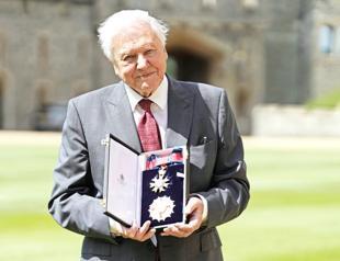 ‘Earliest animal predator’ named after David Attenborough