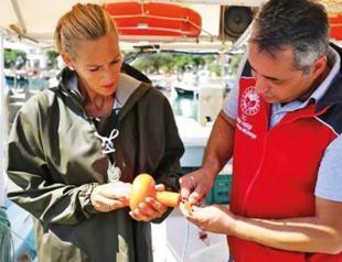 Ministry to introduce QR code tags to prevent poaching, ghost nets