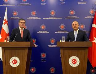 Time to focus on ceasefire in Ukraine now: Turkish FM