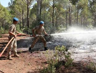 ‘Some 90 pct of burned forest areas recovered’