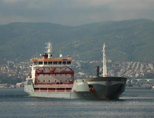 Ship carrying grain from Ukraine arrives in Istanbul