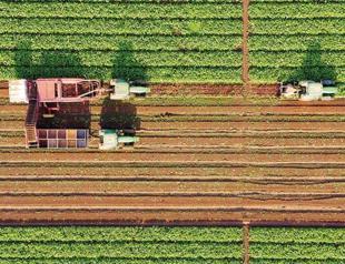 Land plot prices soar as people seek alternative investment