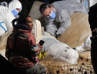 Stranded beluga whale rescued from Seine river
