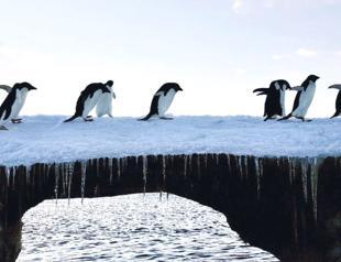 Lowest July Antarctic sea ice on record