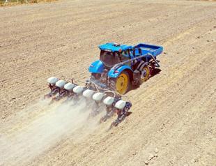 Ministry prepares action plan for agriculture