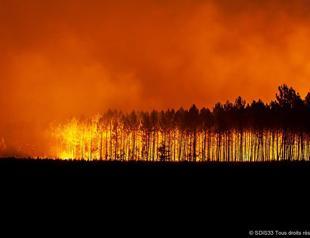 2022 sets record fire activity in southwest Europe: EU