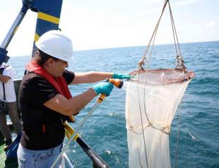 Experts warn of oxygen-starved Marmara Sea