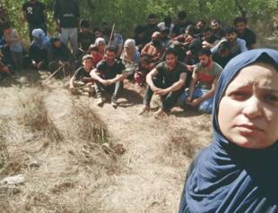 Greece finds 38 migrants stranded near Meriç River