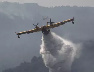 ‘Tornado of fire’: Algeria forest blazes kill dozens