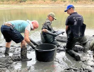 Dutch anglers save fish as Rhine drought bites