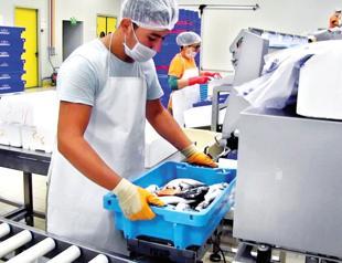 Aquaculture exports at $1.4 billion already exceed 2023 target