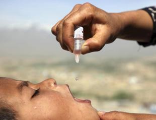 Polio in US, UK and Israel reveals rare risk of oral vaccine