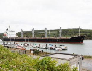 Two more grain ships leave Ukraine: Türkiye