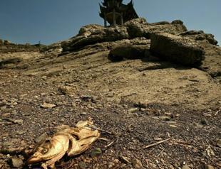 China warns of ‘severe’ threat to harvest from worst heatwave on record