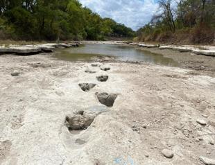 Drought uncovers dinosaur tracks in US park