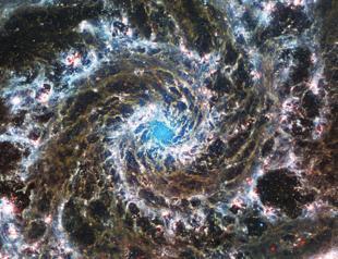 Webb telescope captures new detail of Phantom Galaxy