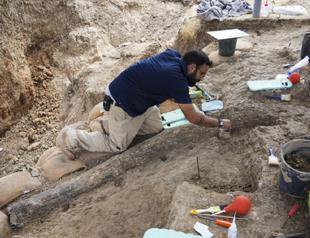 Israeli archaeologists dig up large tusk of ancient elephant
