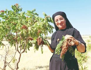 Syriac nun returns from Germany, starts farming in village