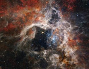 NASA’s Webb catches Tarantula Nebula