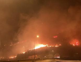 Some 1,500 hectares of land burned in Mersin wildfires