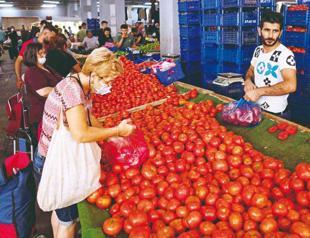 Government to scrutinize tomato product exports