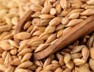 Ukrainian grain exports reach 2.5 million tons