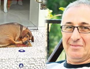 Lecturer sues coffee shop for tripping over sleeping dog