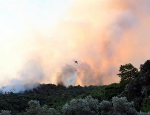 Forest fire in Muğla brought under control in 7 hours