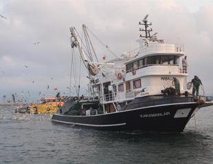 Türkiye should change fishing policy, says expert