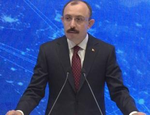 Service exports likely to top $68.5 bln this year: Minister