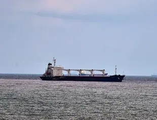 Nine more grain ships leave Ukraine: Türkiye