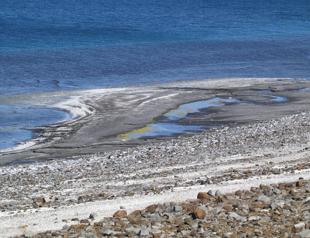 Expert warns of increasing mucilage on Lake Salda