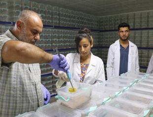 Scorpion venom ‘brings $10 million per liter’