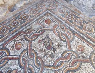New mosaics found in Hadrianopolis