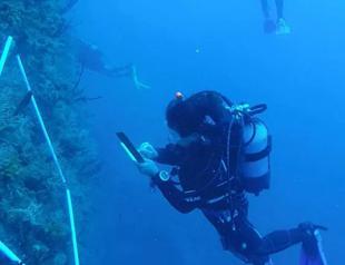 Ministry bans hunting, collection, sale of seven species