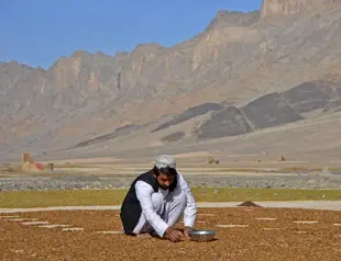 Afghan economy suffers ‘dramatic collapse’