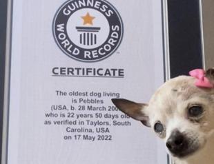 Pebbles, world’s oldest dog, dies at age 22