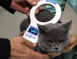 Nearly 400,000 pets registered on PETVET system: Ministry