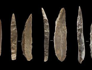 Neanderthals, humans co-existed in Europe for over 2,000 years: Study