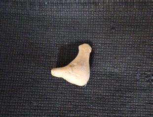 Ancient whistle found in Assos