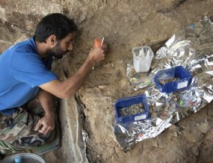 First ‘concrete picture’ of Neanderthal family revealed by DNA