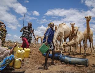 Heat waves cost poor countries the most, exacerbating inequality