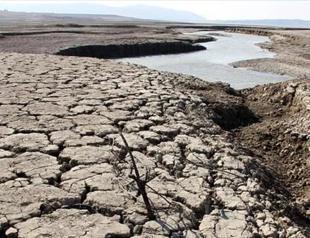 65 pct of Türkiye at risk of desertification: Report