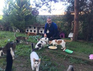 Teacher establishes ‘cat village’