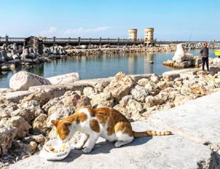 Sinking Alexandria faces up to coming catastrophe